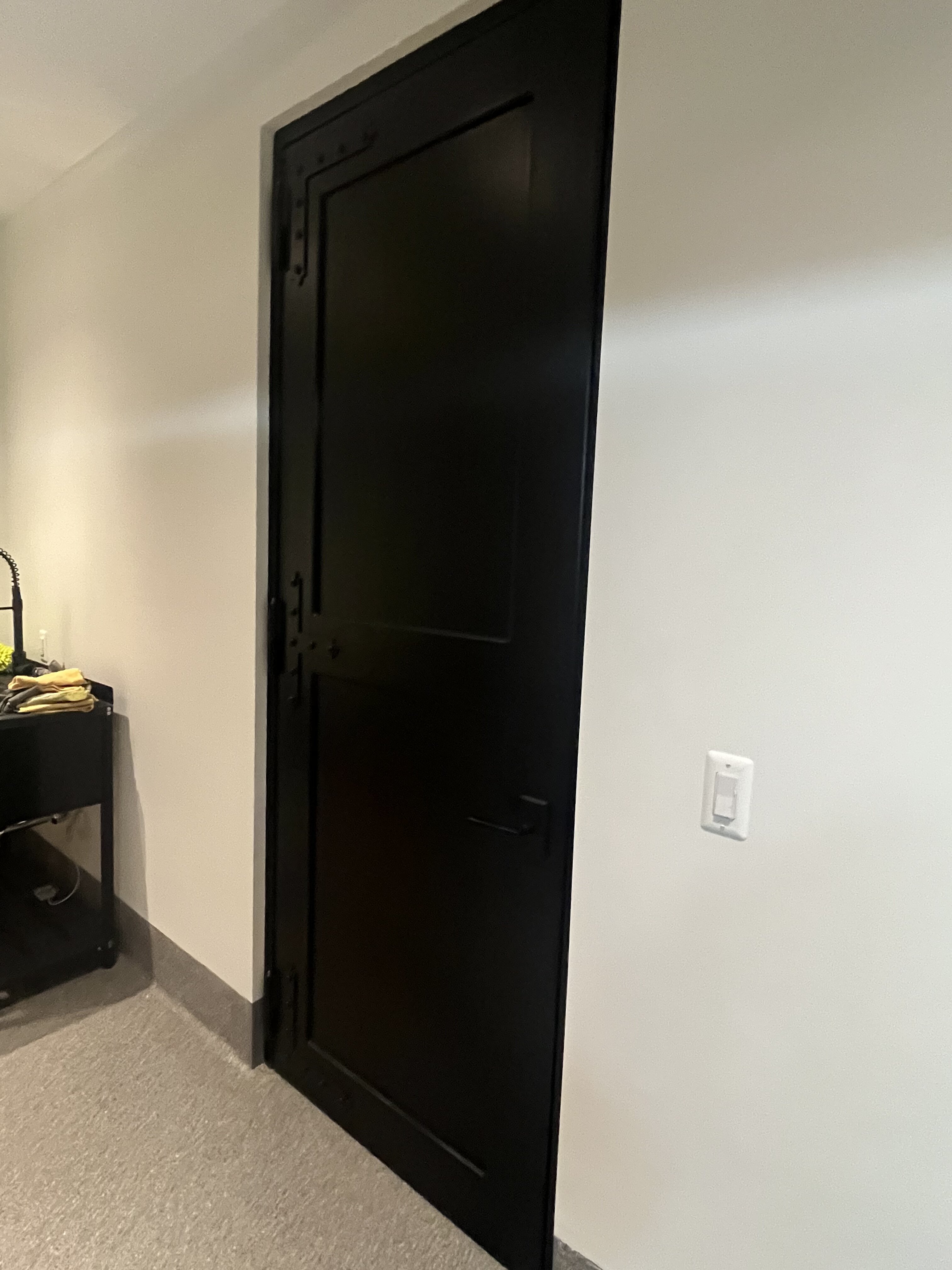 Heavy-Duty Security Door